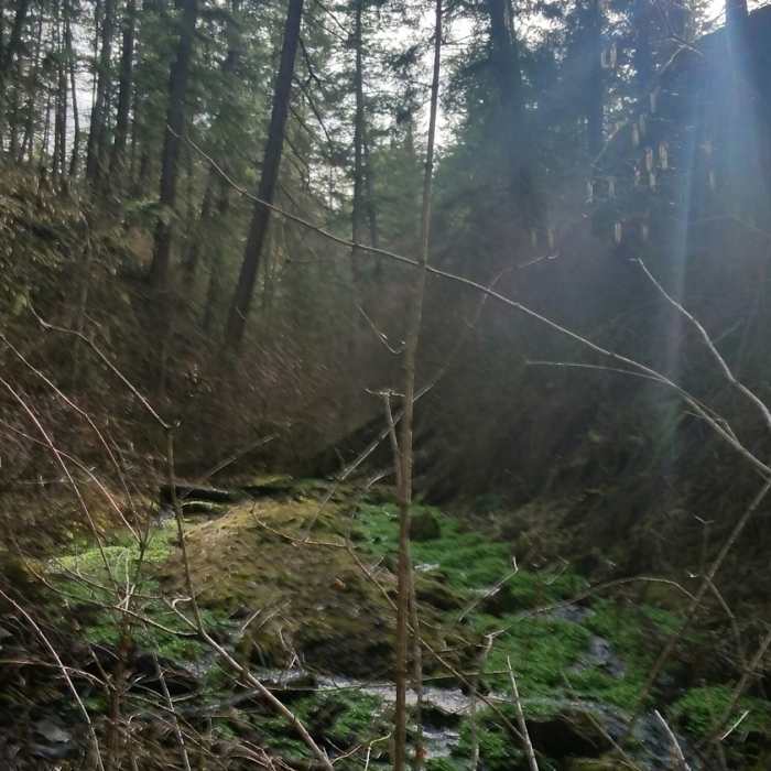 Near Trail 141 - Bonnie Drive Parallel