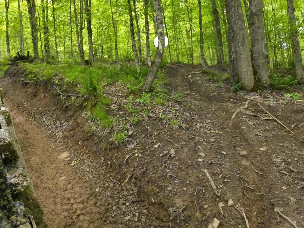 Orange Single Track B4 B5 G9 photo 2