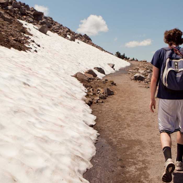 Near Watchman Trail to Watchman Tower