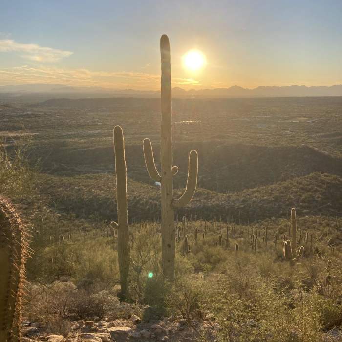 Near Blackett's Ridge