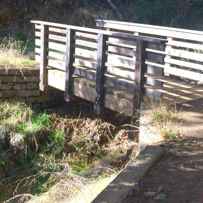 Near Terra Linda Fire Road + 680 Trail Hike