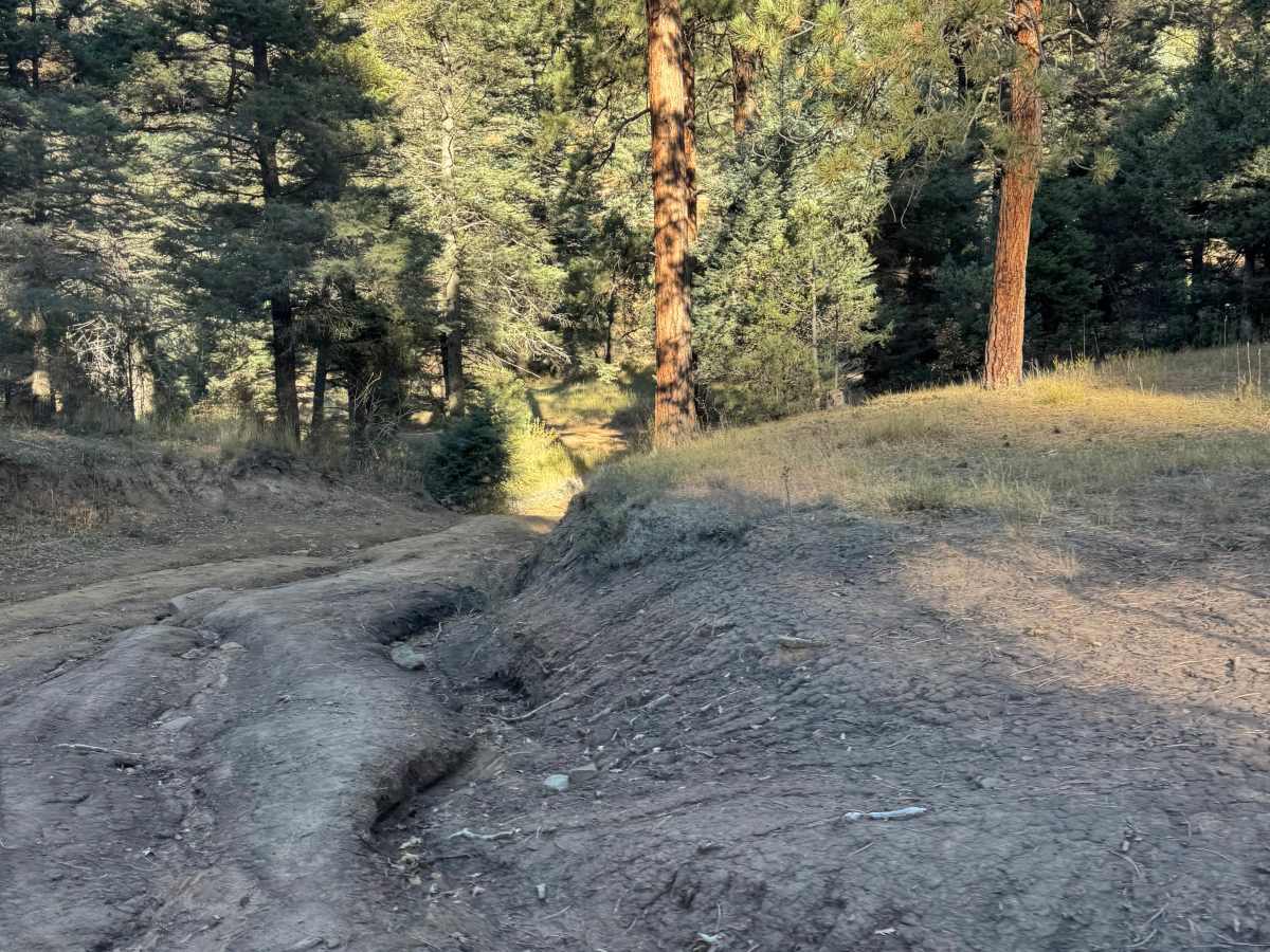 Capulin Forest Road photo 5