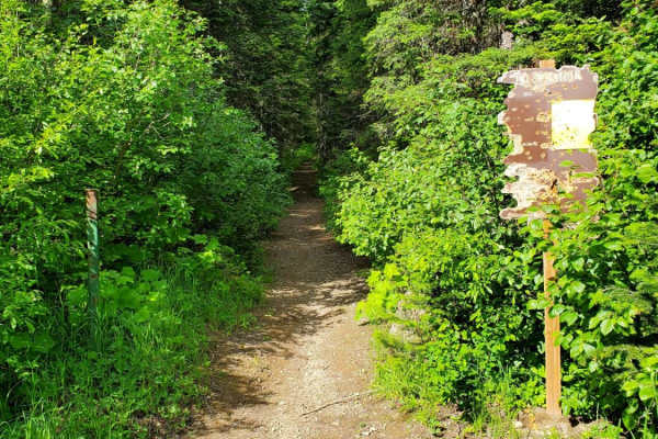 Peter's Ridge Road