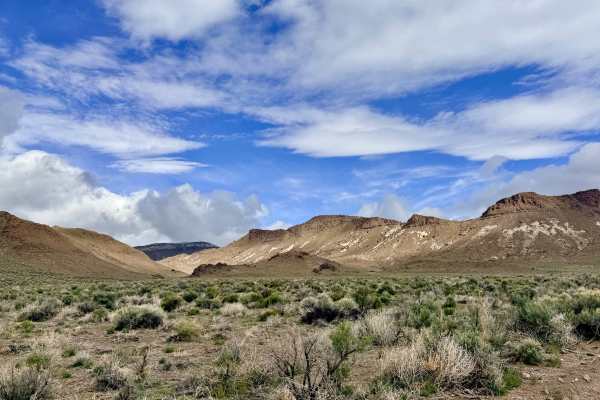 Saulsbury Wash - FS 44056