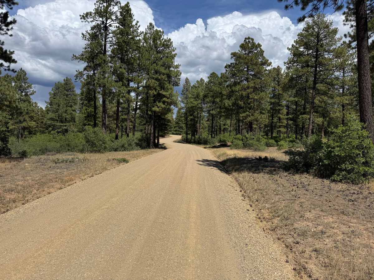 Hay Camp Mesa Road photo 4