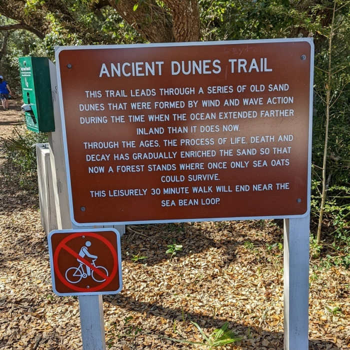 Near Ancient Dunes Trail