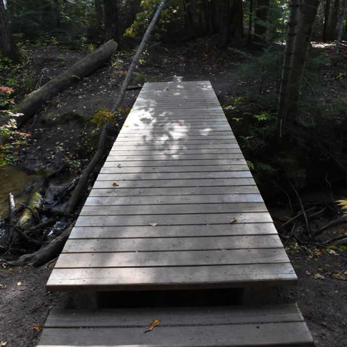 Near Hike to Yellow Dog Falls Near Hike to Yellow Dog Falls