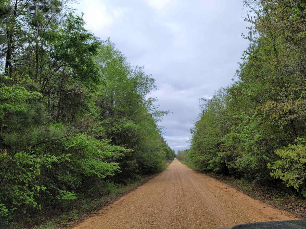 The Arkansas Overland Route - Section 12 - Dead End but Fresh Beginning photo 5