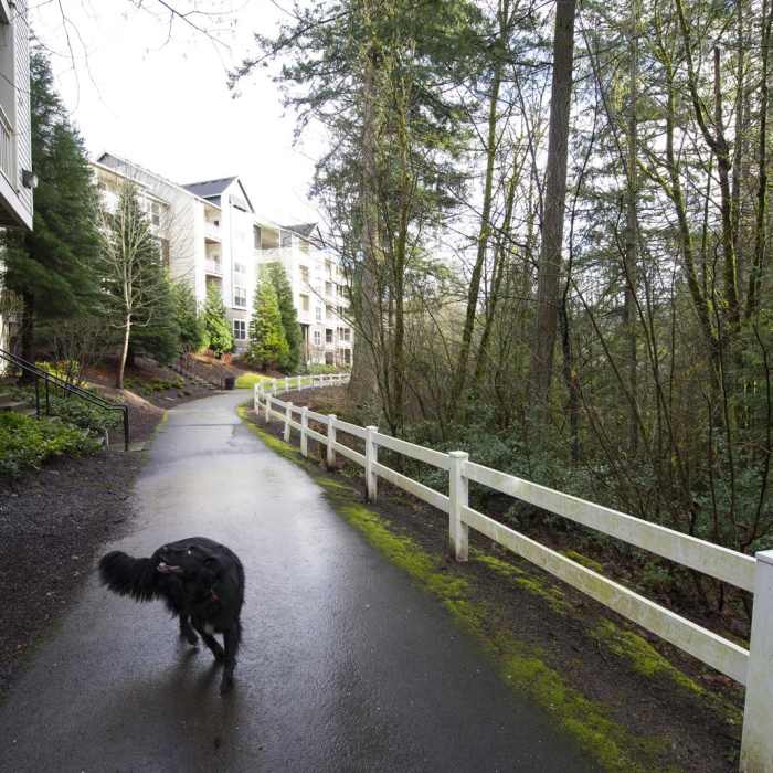 Near North Johnson Creek Trail