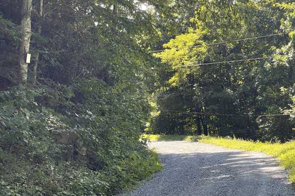 Rackett Branch Road