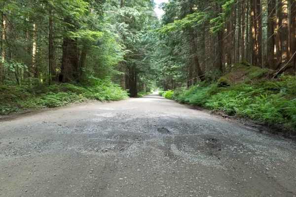 Tinkham Road (NF-55)