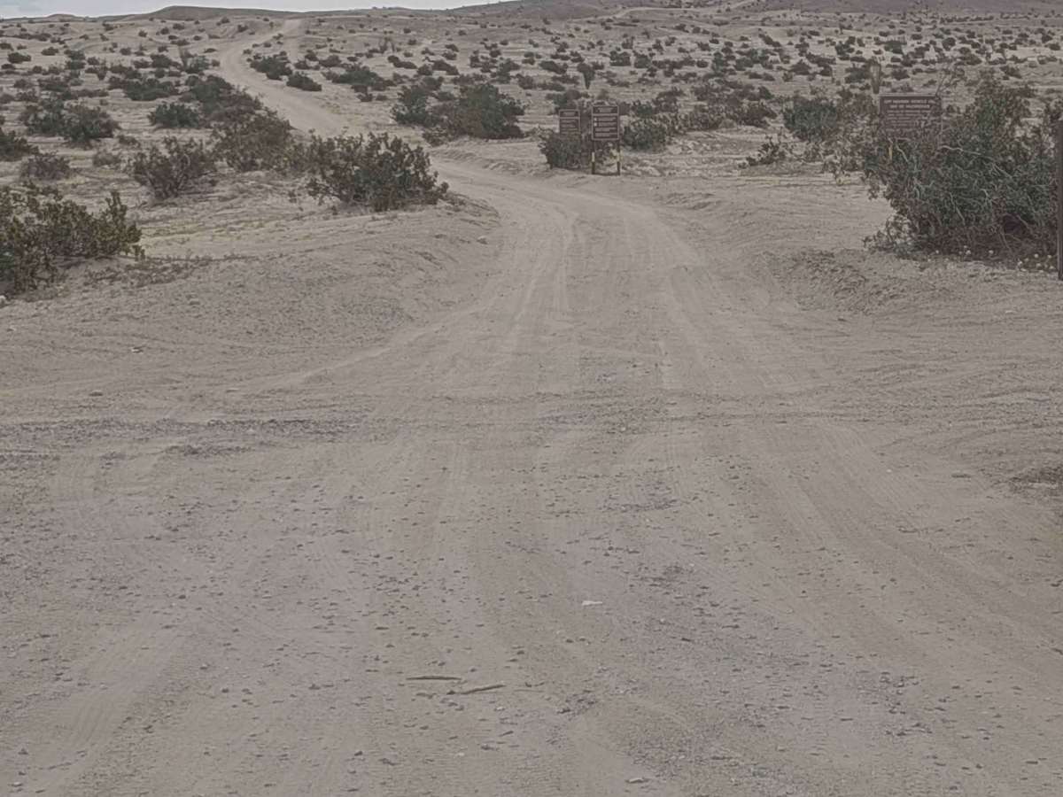 Ocotillo Trail Road photo 2