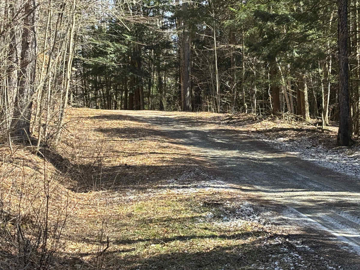 Randall Hill Road photo 4