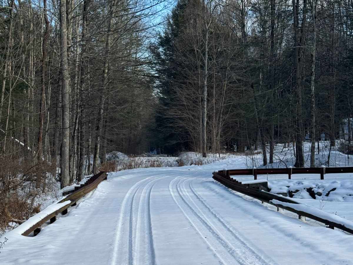 West Branch Road photo 6