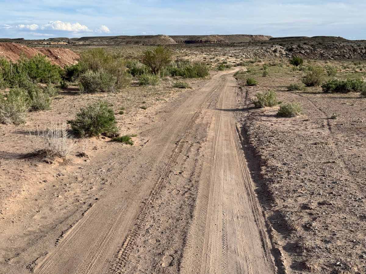 D3041 trail photo