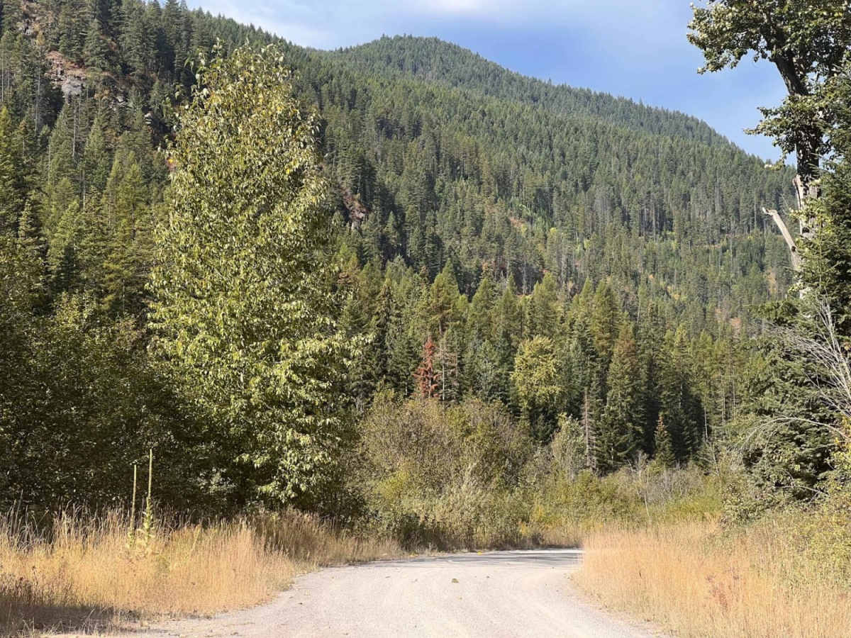 Lower Marten Creek photo 6