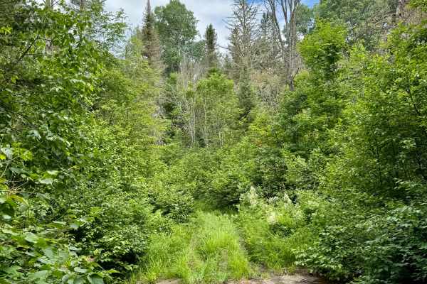 Perry Creek Passage