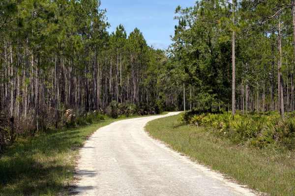 Bluffton Road