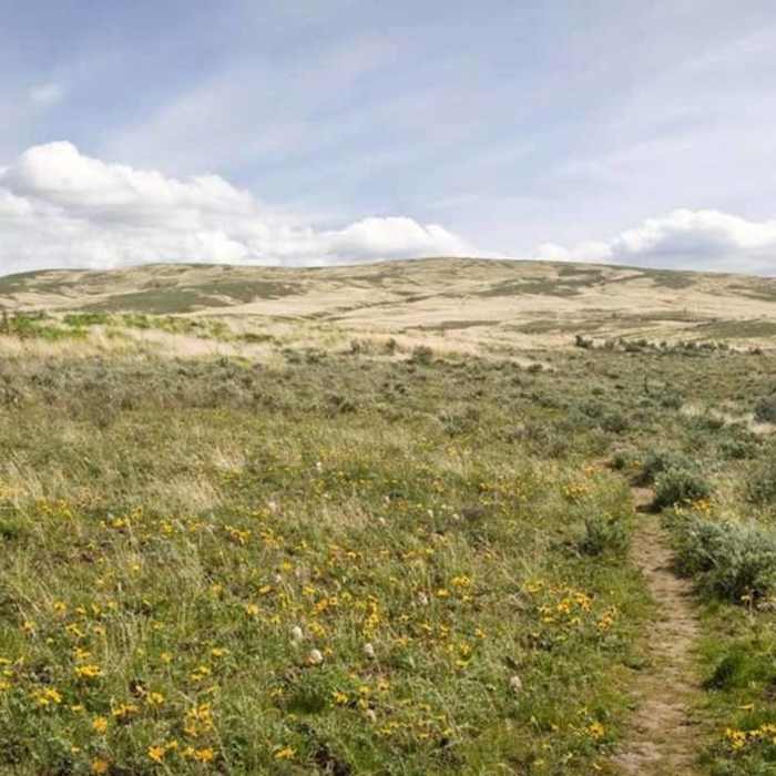 Near Wildflower Loop Route