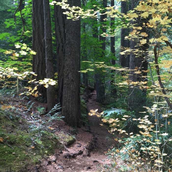 Near Clear Lake Loop