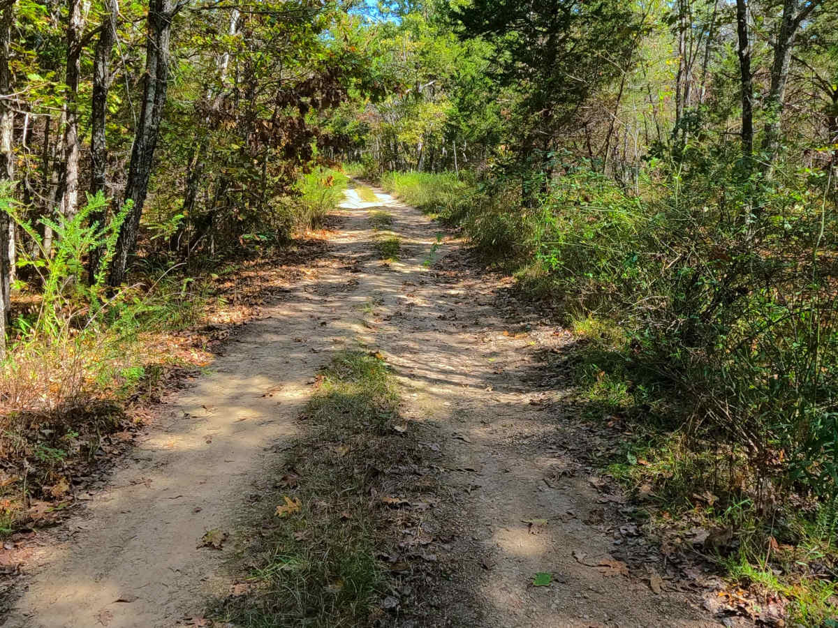 Sherbrooke - FS 2841 photo 6