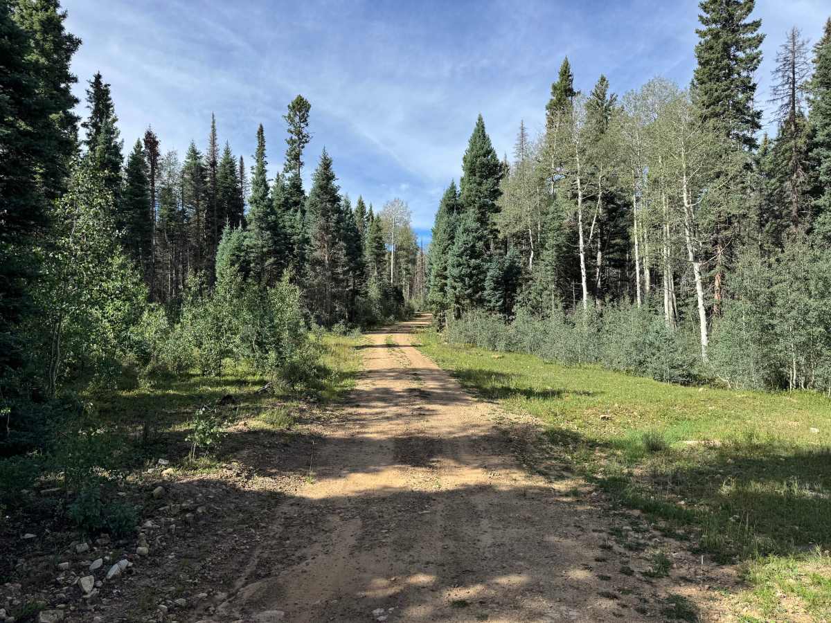 Pipe Creek Road photo 5