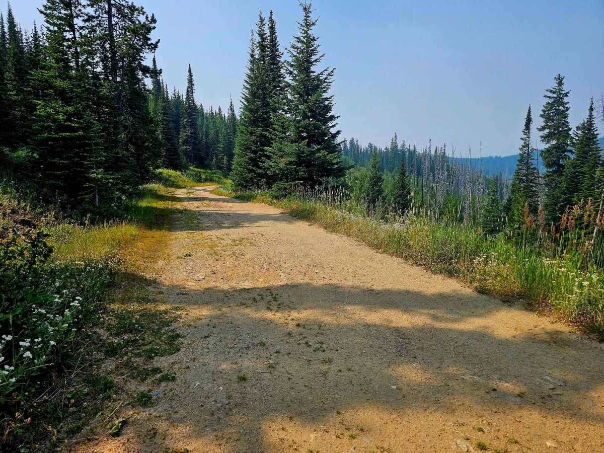 Squaw-Wilson Divide photo 2