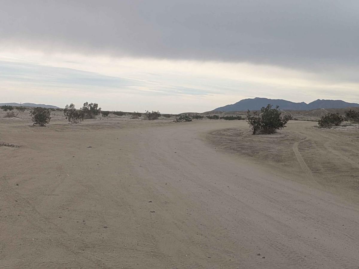 Count Line Road photo 5