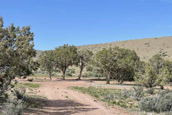 Grapevine Wash Connector