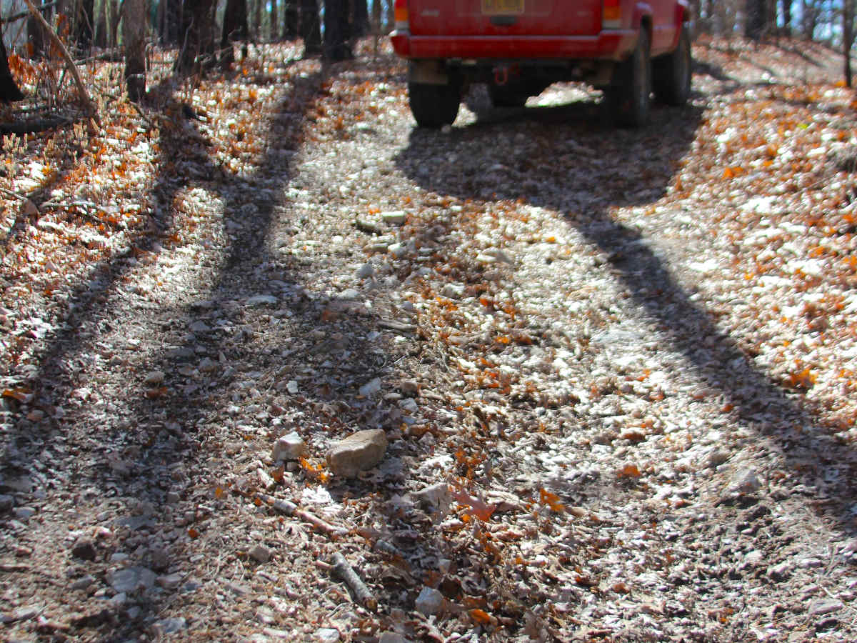 Flatwoods Spur B - FS 2438B trail photo