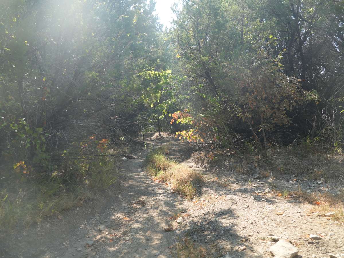 Green 52 trail photo