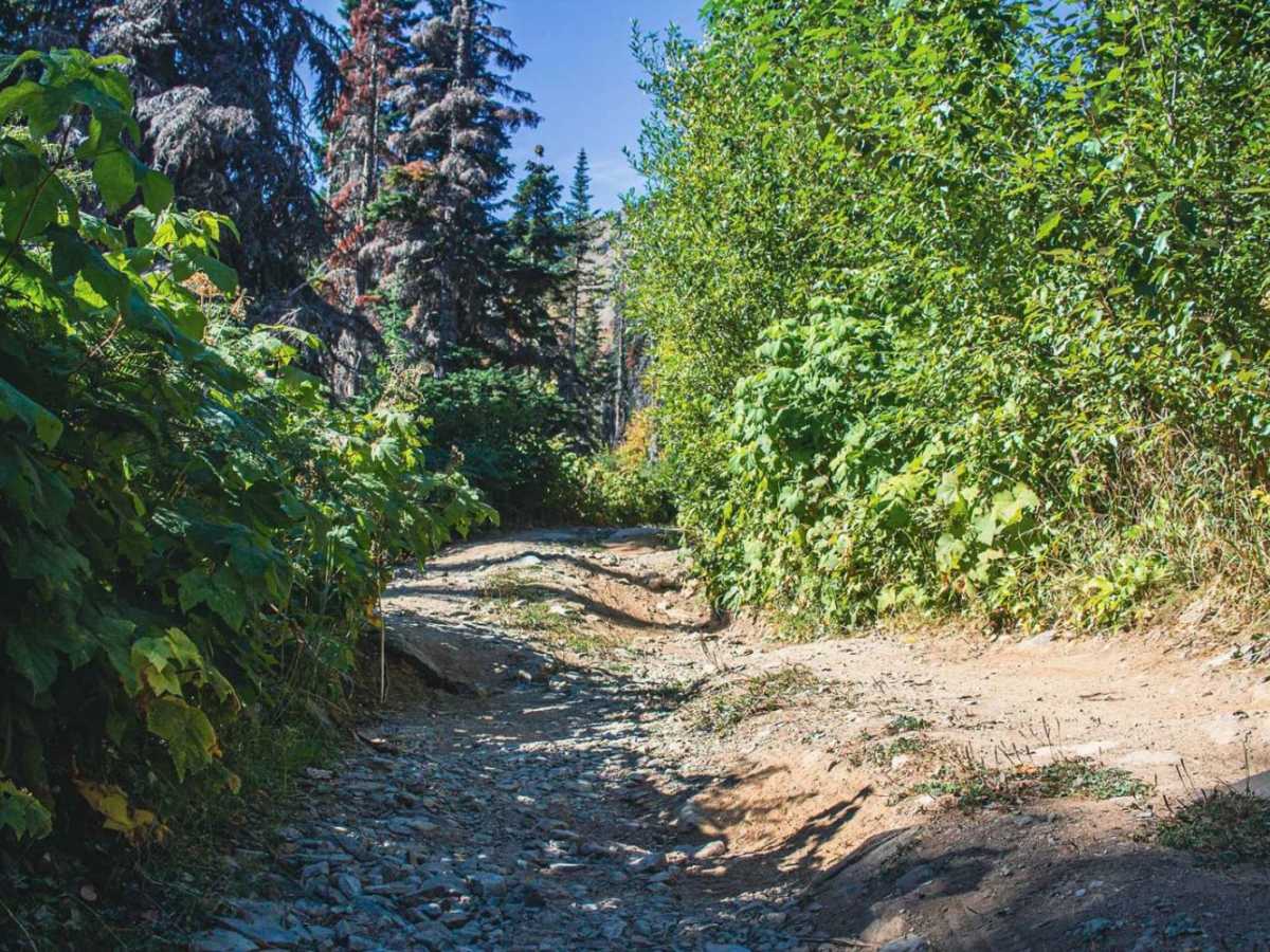 Knox Creek - 4308 photo 2