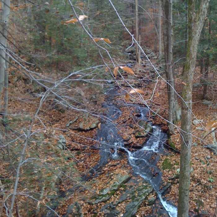 Near Reeve Biggers Trail