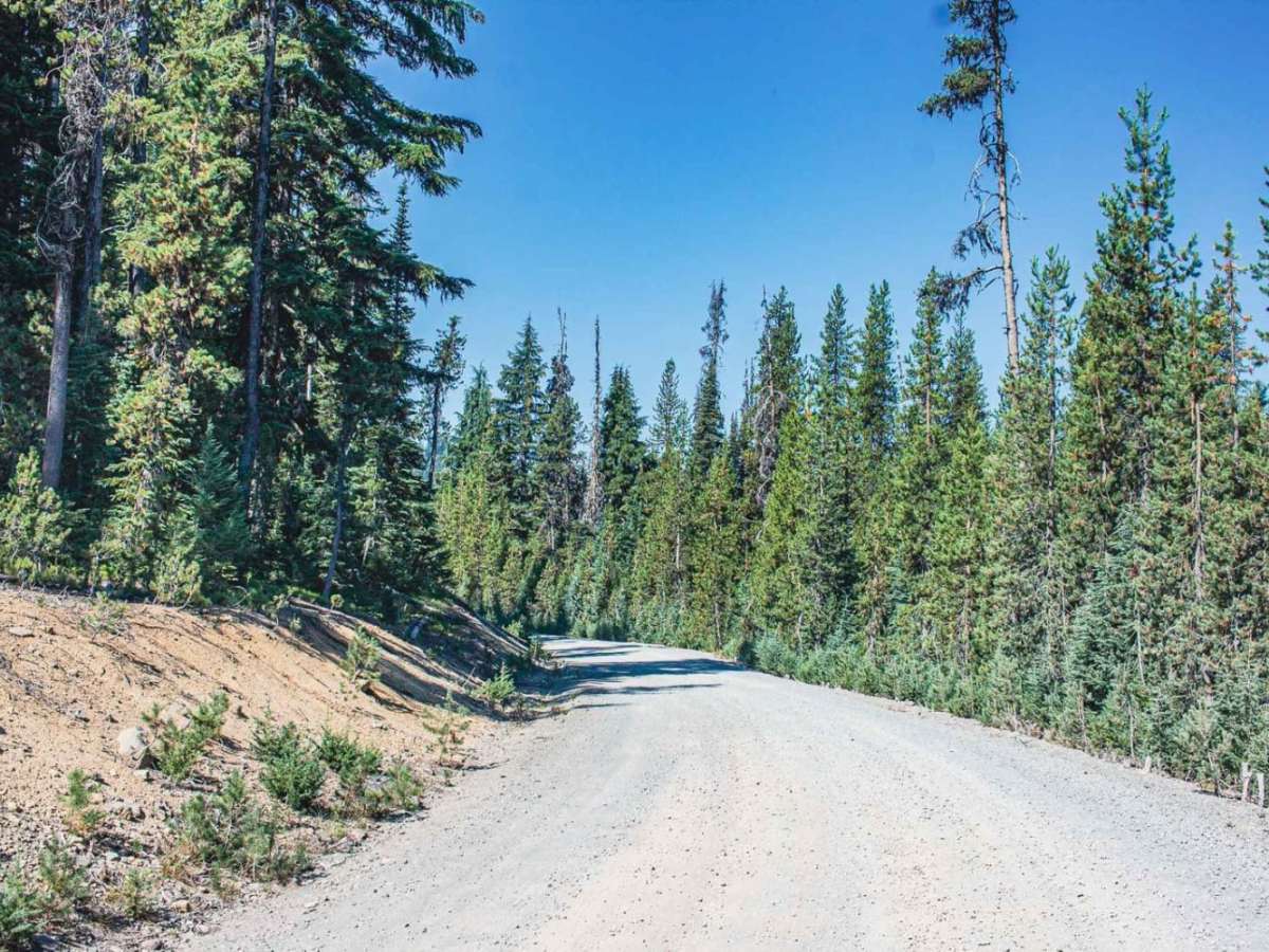 Three Lakes trail photo
