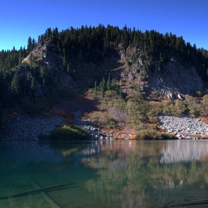 Near Thomas Lake Trail #111