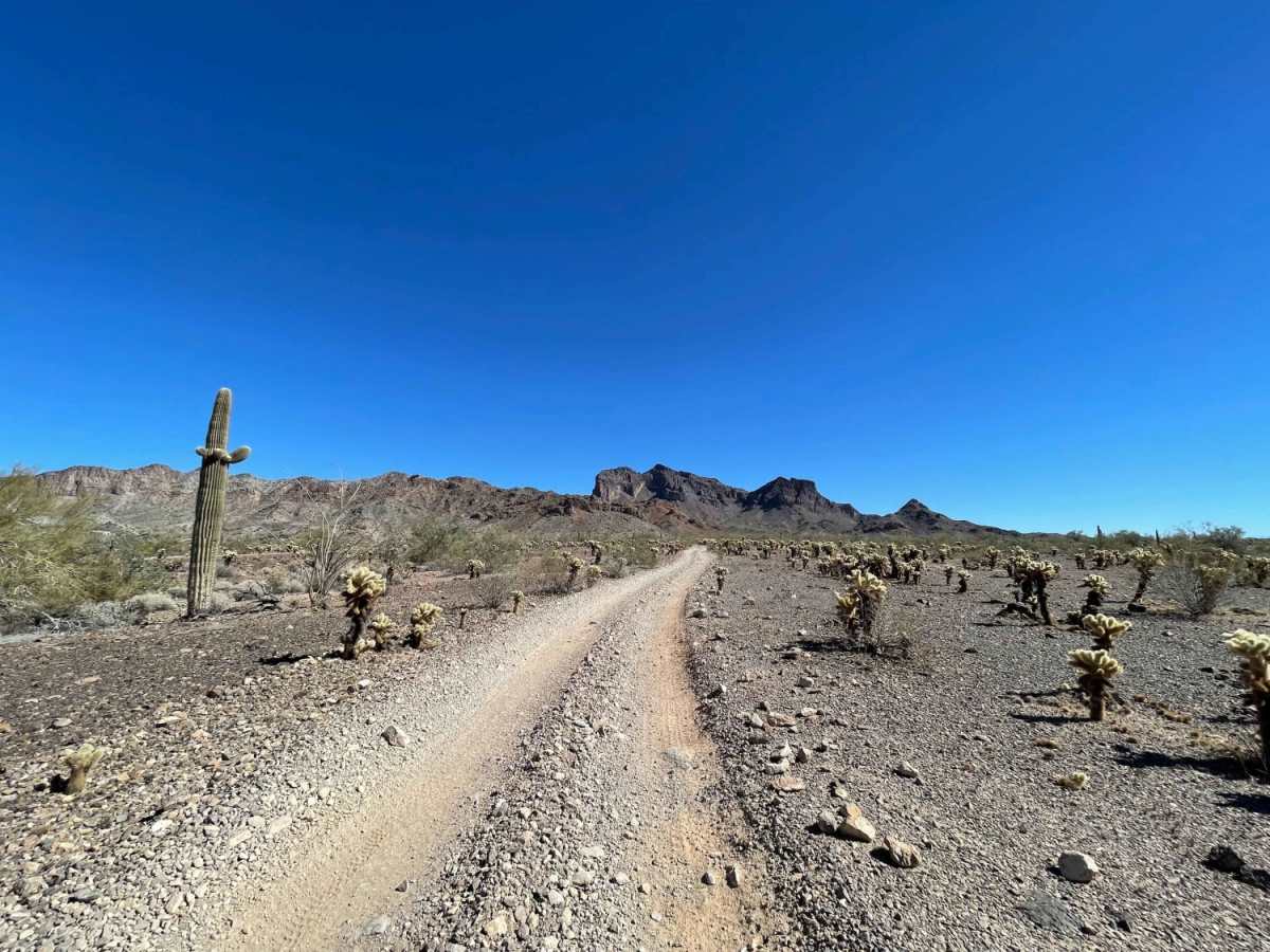 Center Desert Washy Loop photo 5