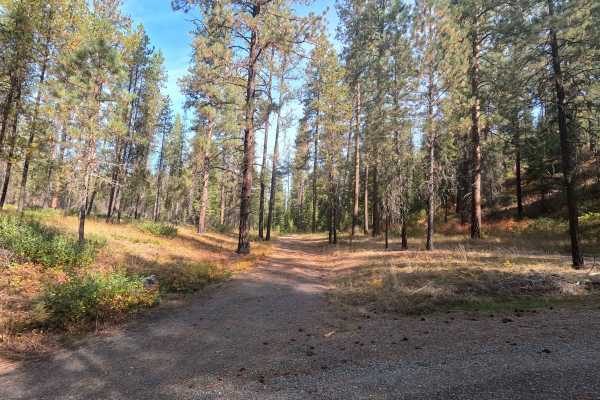 Winslow Camp Road