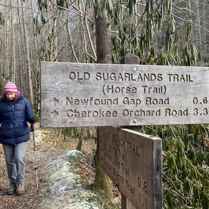 Trail Junction Near Sugarlands Valley Nature Trail