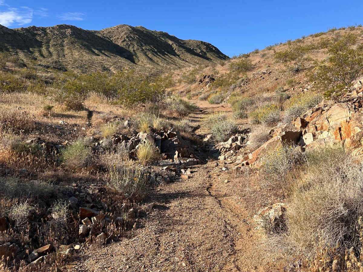 Dry Wash Trail trail photo