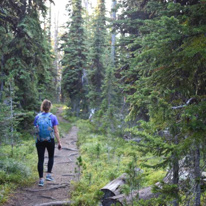 Near Ch-paa-qn (Reservation Divide Trail)