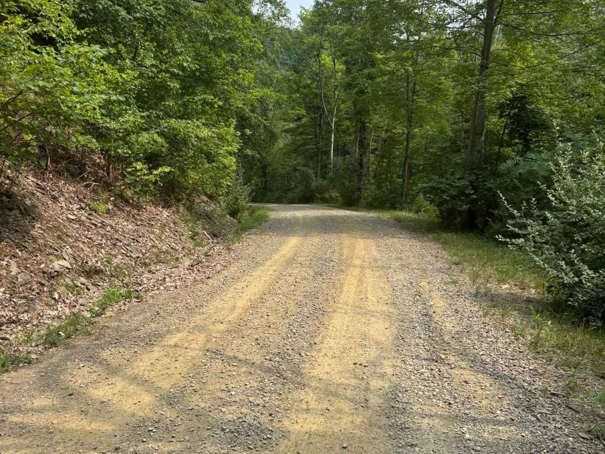 Southwoods Road photo 3