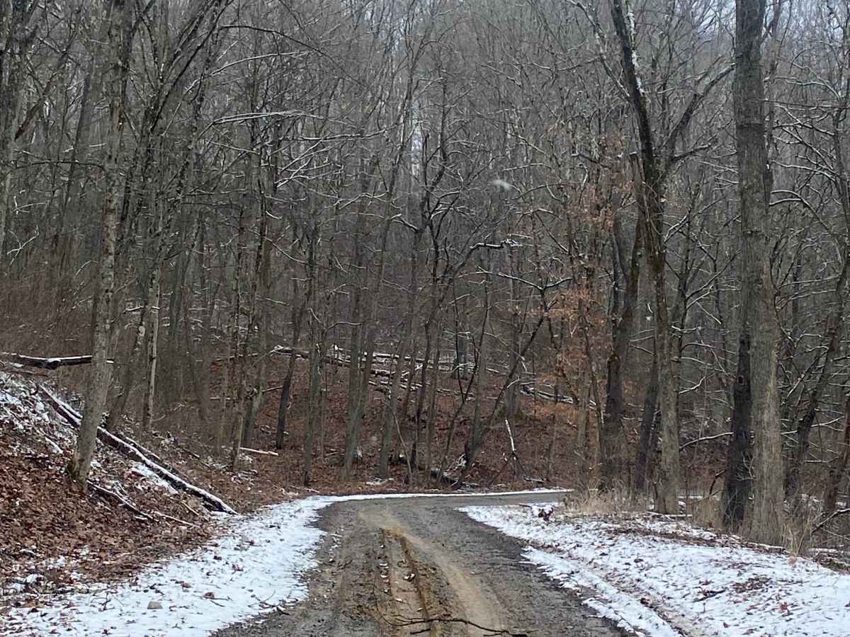 Harmon Creek Road photo 5