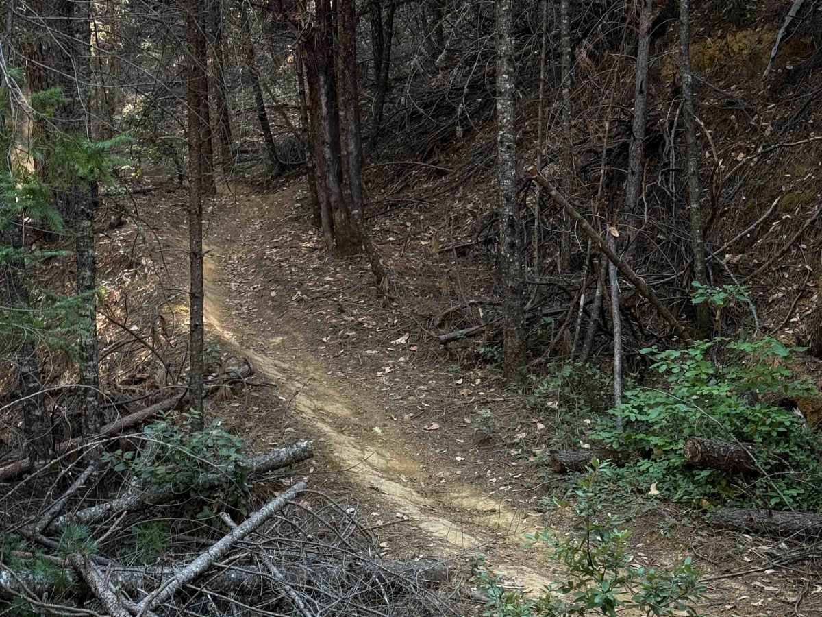 Trail 5-1 (11E32) photo 3