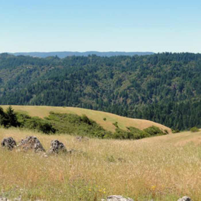 Near Black Mountain via Black Mountain Trail