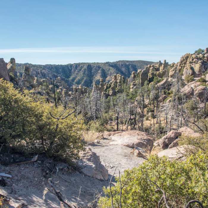 Near Echo Canyon Loop Trail