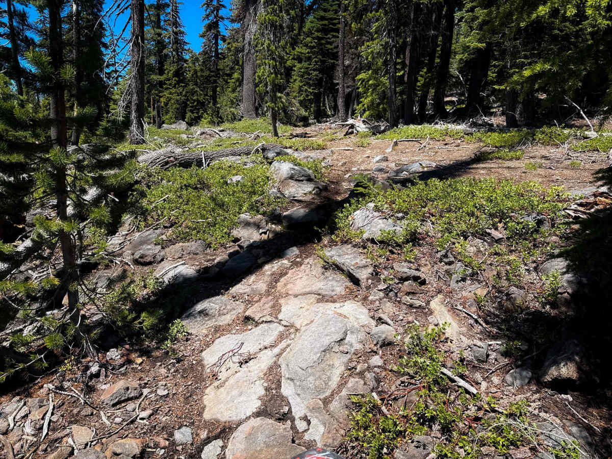Waterbag Way  photo 4