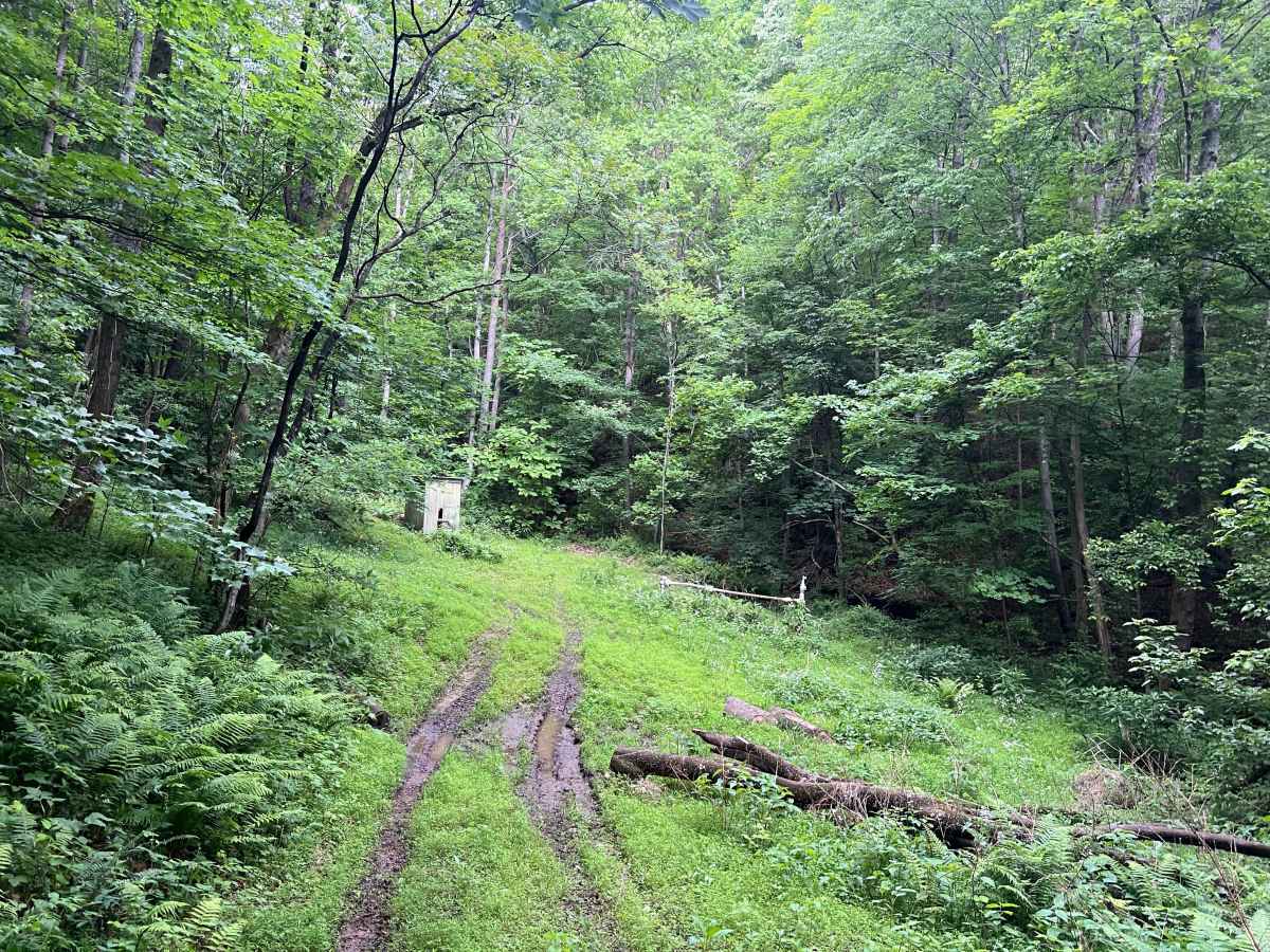 KC27C trail photo