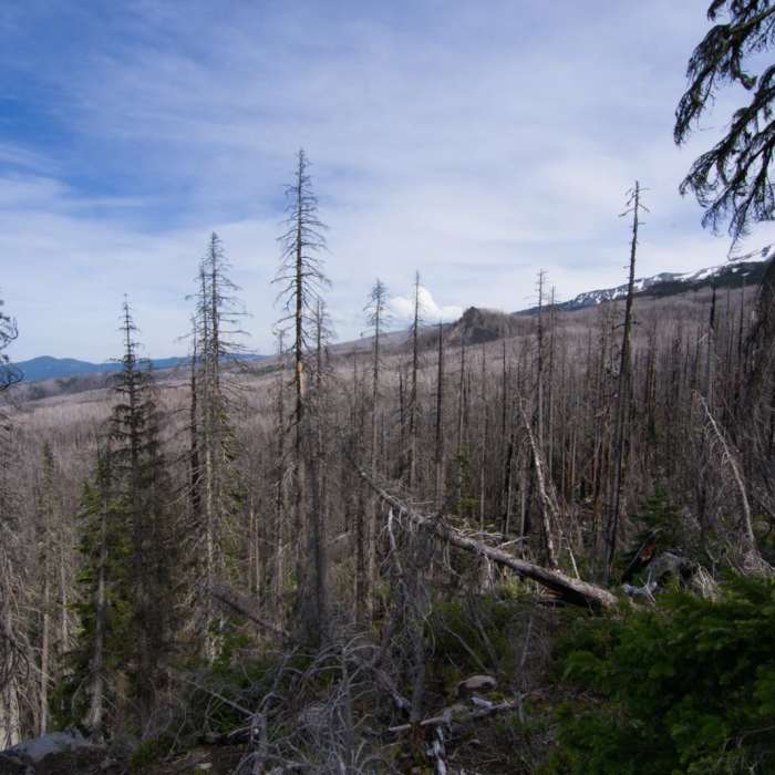 Near Vista Ridge Trail Hike