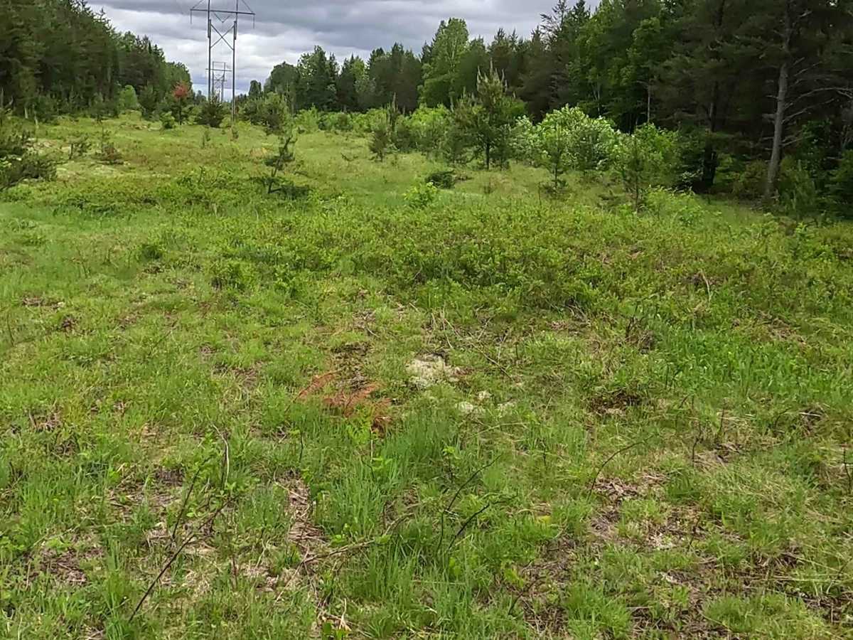Peshekee to Clowry Trail photo 5