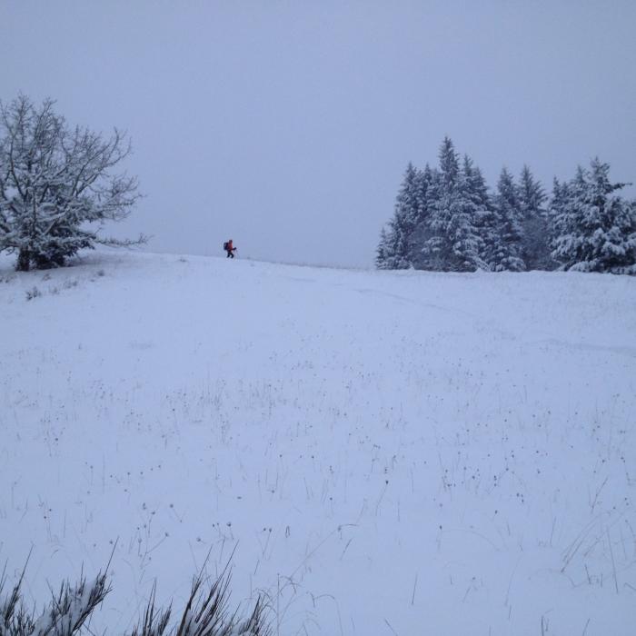 Near Dimple Hill Loop